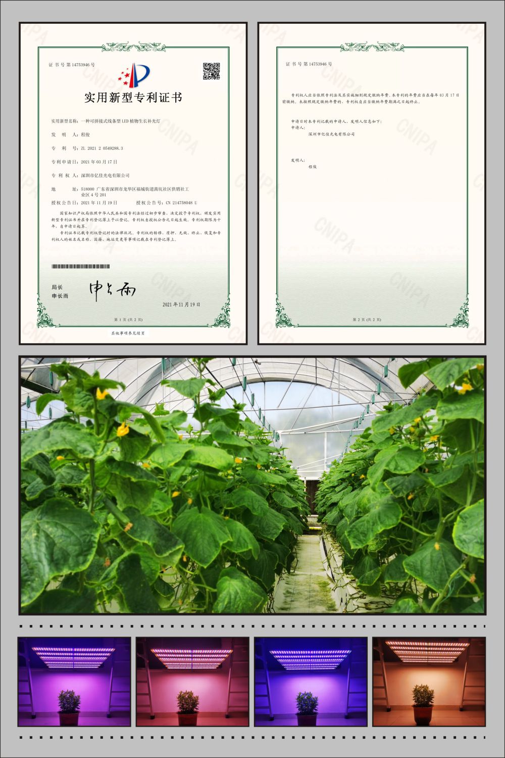 南宫电子游戏植物农场灯实用新型专利